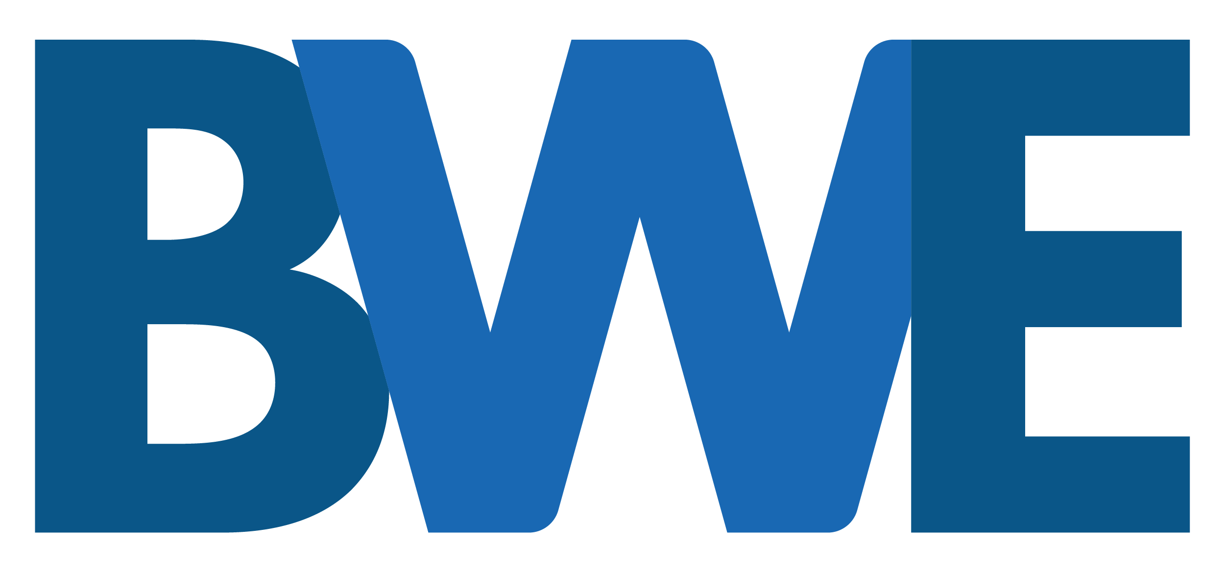 BWE Logo_Color 