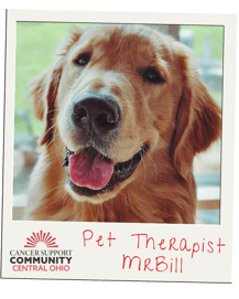 Pet Therapist MrBill