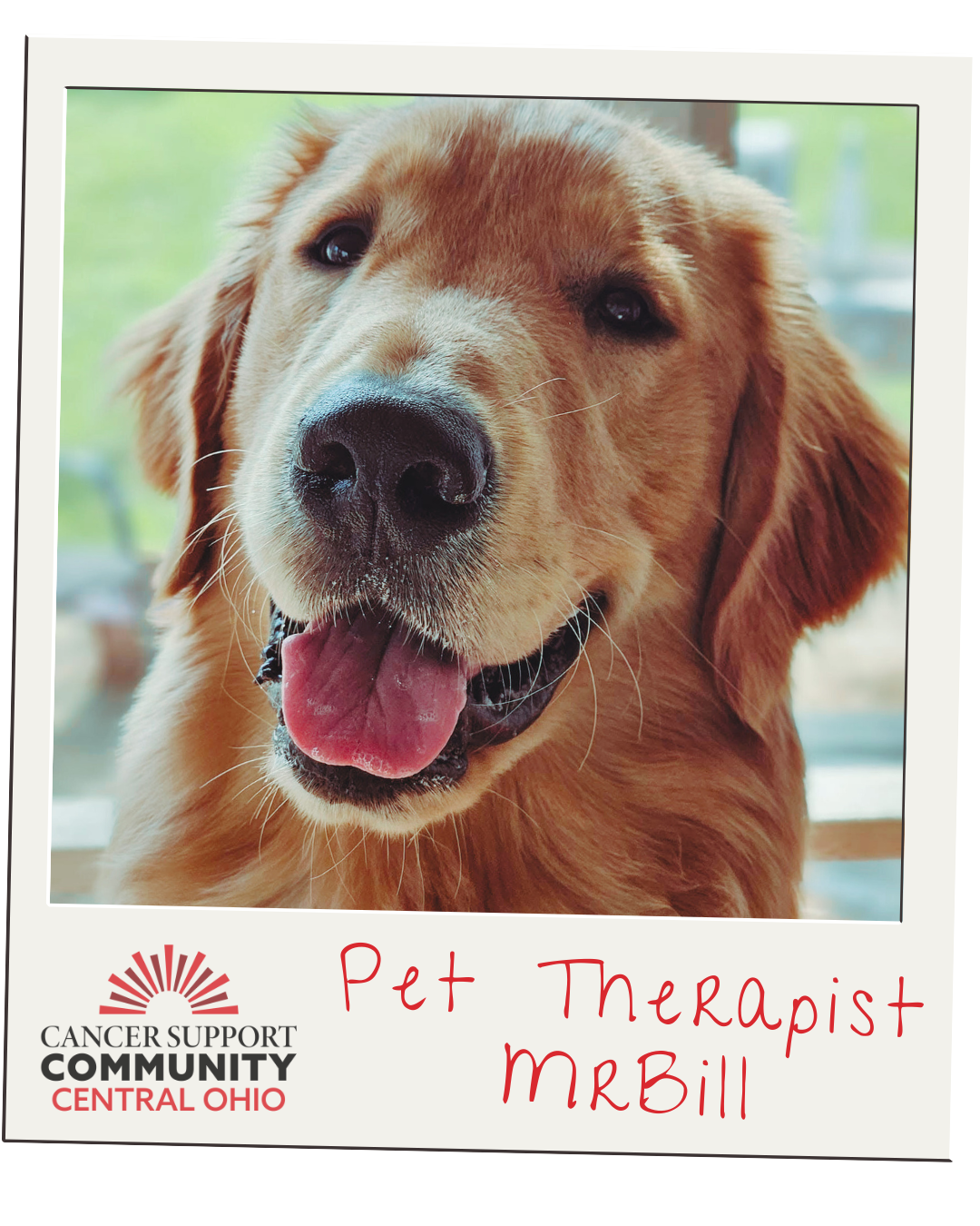 Reflecting on 2025 with Gratitude and Hope